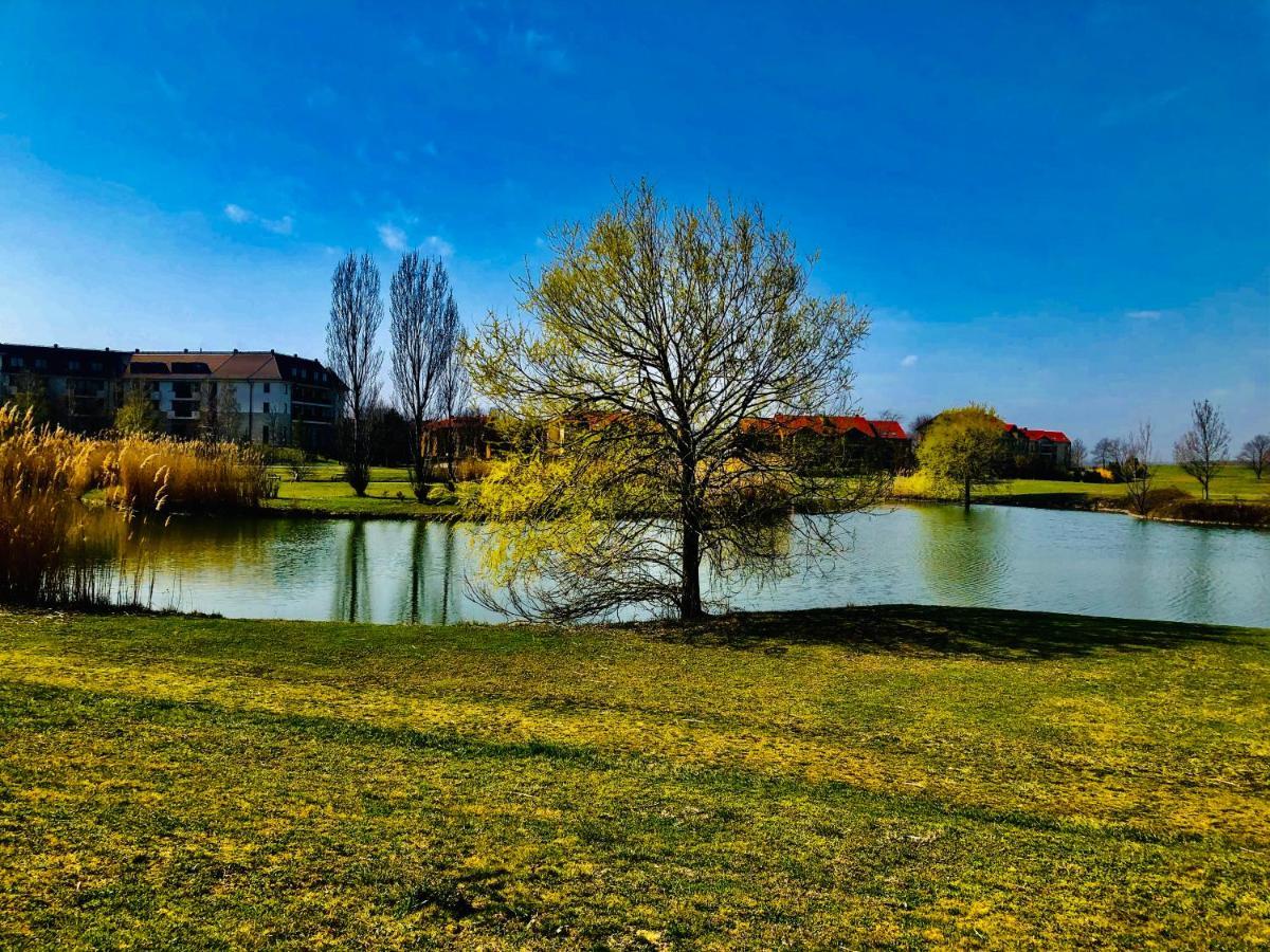 Birdland Apartman Bük Exteriér fotografie